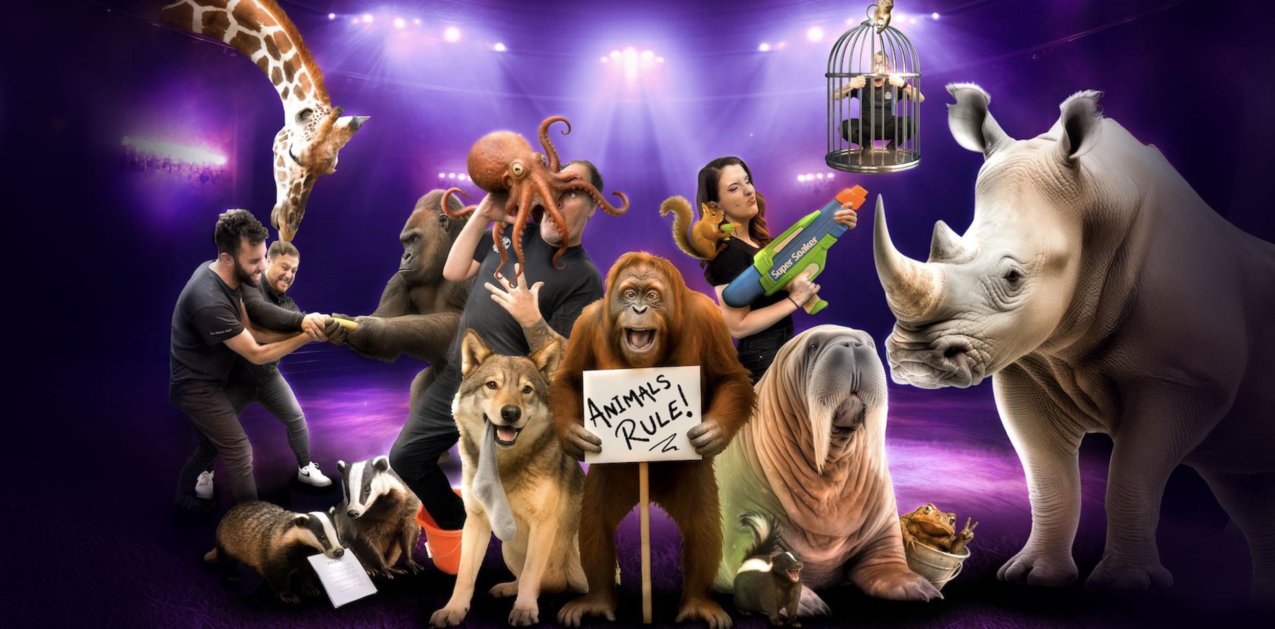 An ensemble of animals standing on a theatre stage