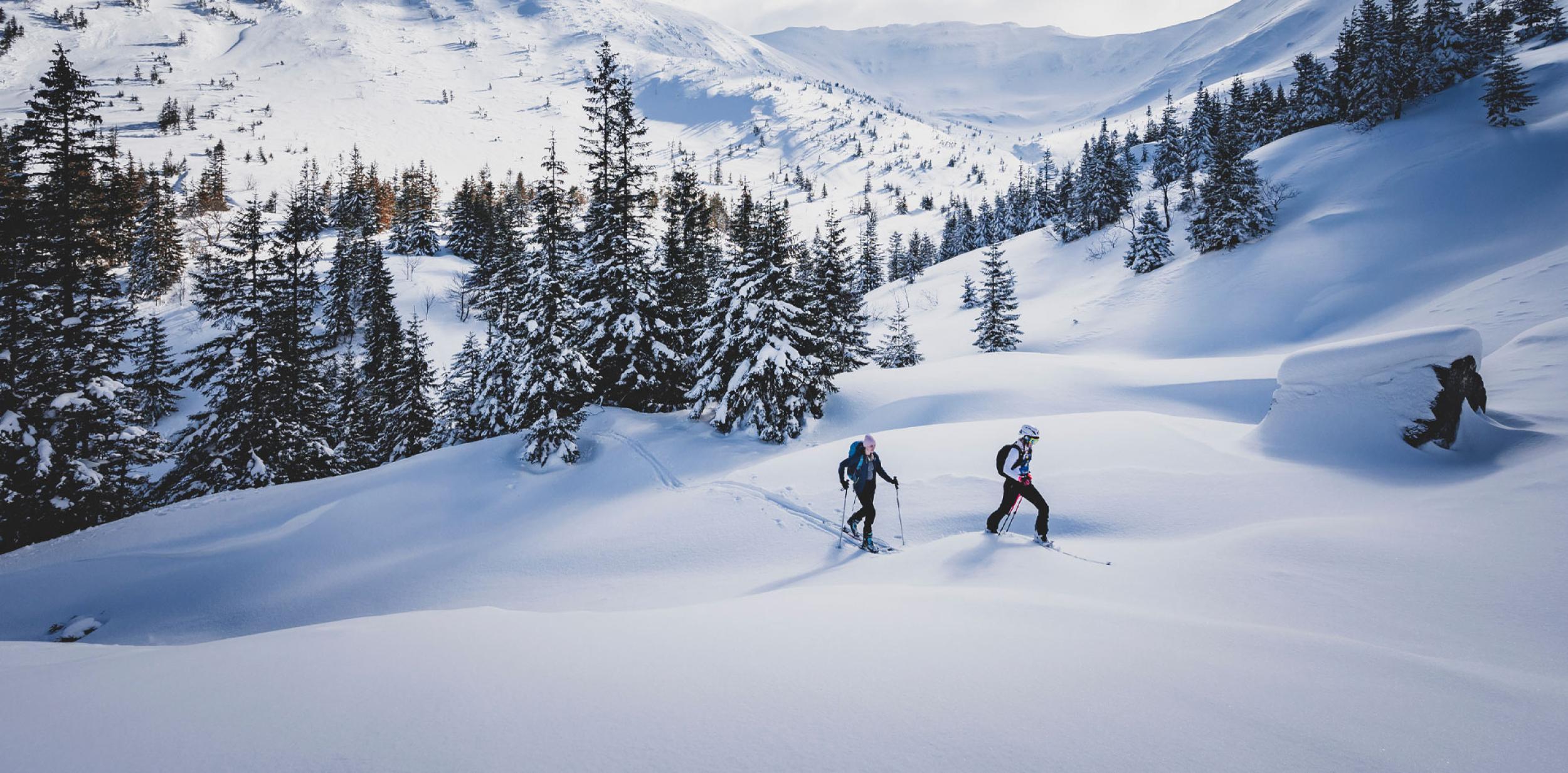 Two explorers wearing skis and walking across a large snowy mountain