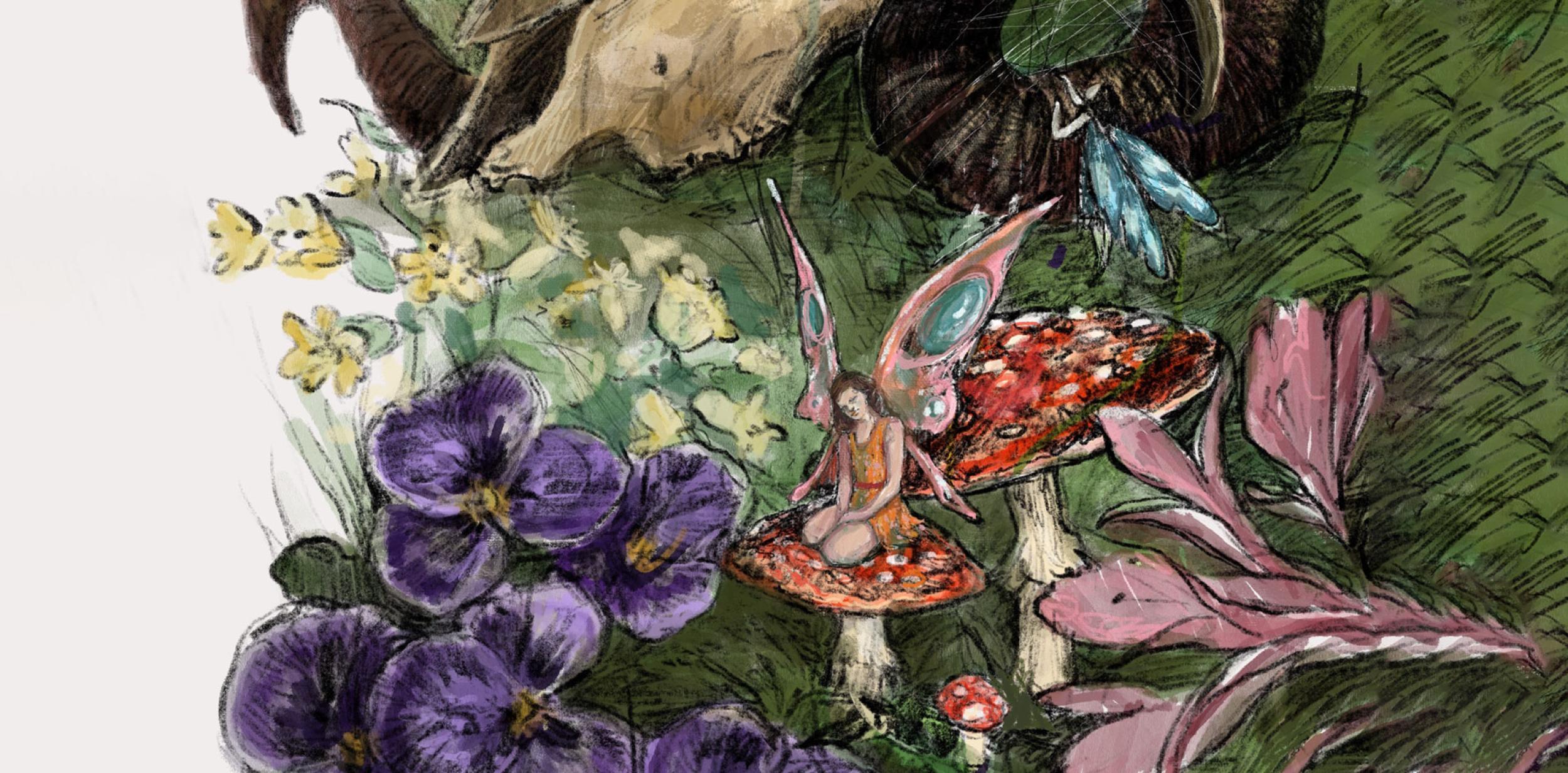 Illustration of toadstools and fairies