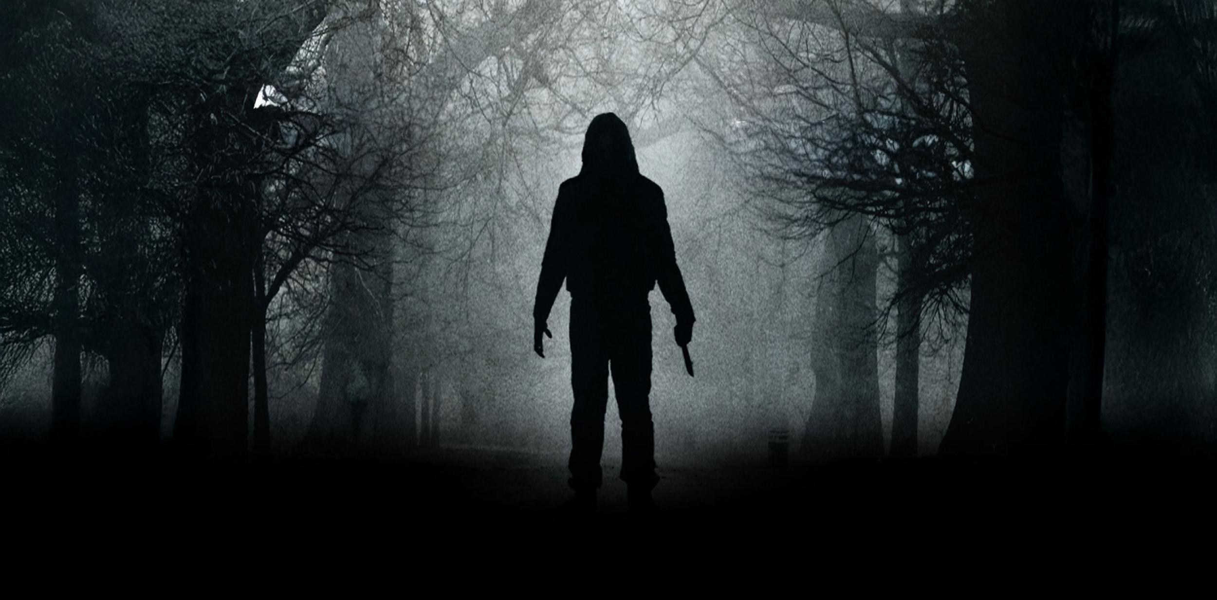 The silhouette of a person standing in the woods