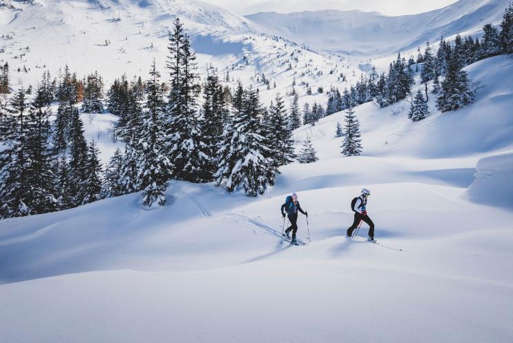 Two explorers wearing skis and walking across a large snowy mountain