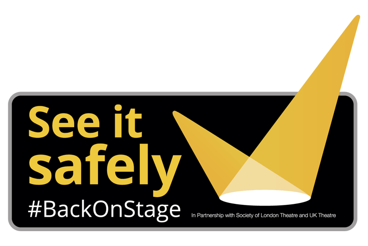 See It Safely logo